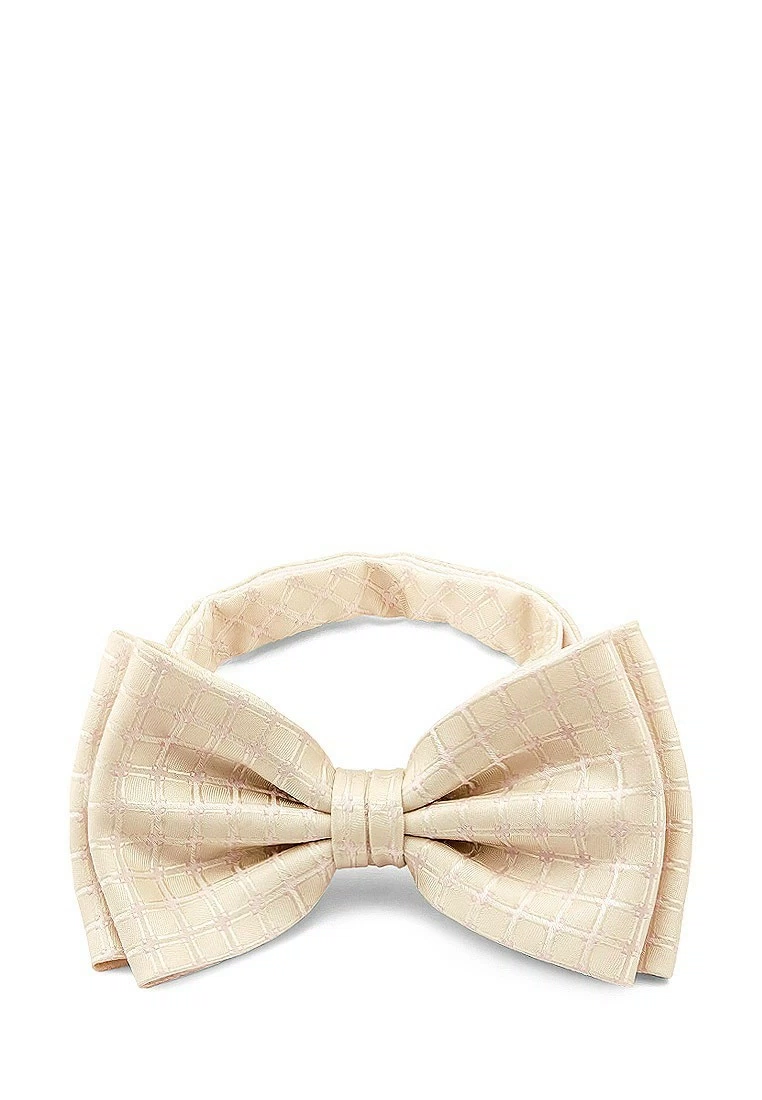 Casino-poly-wedding 512.1.523 Галстук-бабочка мужской
