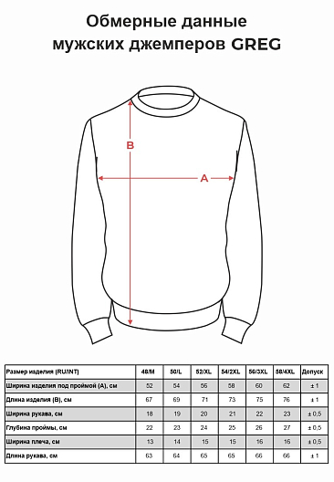 G124-AC128 (коралл) Джемпер мужской