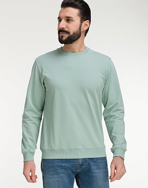 G121-OZ02-2020 (минт) Свитшот мужской